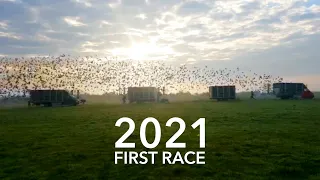 START. The First Pigeon Race of 2021