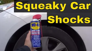 How To Fix Squeaky Car Shocks-EASY Repair For A Vehicle's Suspension