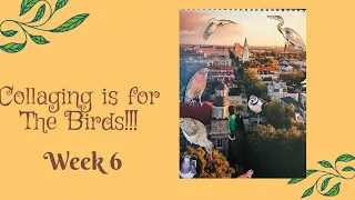 #nrbirdcollage Collaging is for the Birds Week 6