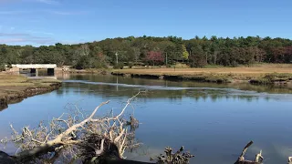 Scorton Creek in Sandwich