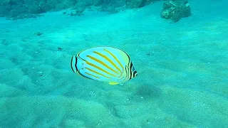 Scuba Diving at Ulua Beach