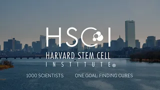 Harvard Stem Cell Institute: Breaking boundaries to cure disease