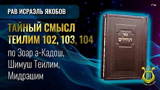 📖 Теилим 102, 103, 104 - Тайный Смысл. Рав Исраэль Якобов.