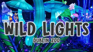 Wild Lights at Dublin Zoo 2023 🇮🇪
