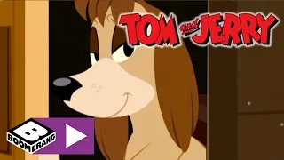 Tom & Jerry | The Stolen Gem | Boomerang UK