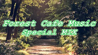 Forest Cafe Music Special Mix【For Work / Study】Restaurants BGM, Lounge Music, shop BGM.