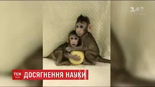 Китайські вчені першими клонували мавп