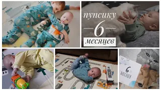 Пупсику полгодика 🤍