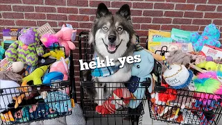 Buying Everything My Dog Touches For Her Birthday!