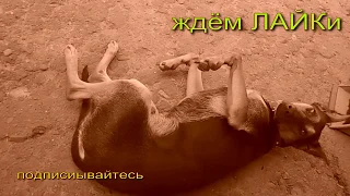 Ничего на свете лучше нету