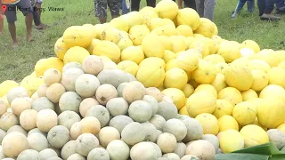 Taguig Melon Festival 2023