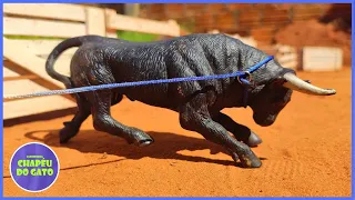 INCRÍVEL FAZENDINHA CHAPÉU DO GATO #chapeudogato