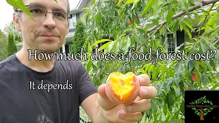 How much does a permaculture food forest cost?