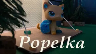 LPS: Popelka