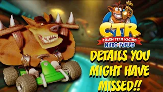 Crash Team Racing: Details You MIGHT Have Missed!!