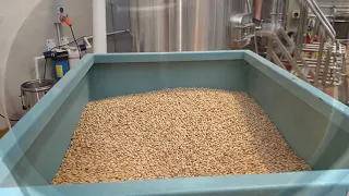 A Typical Brew Day in a Micro Brewery