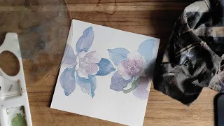 How to paint watercolor flowers