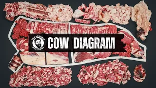 A Visual Guide to the Cuts of a Cow: Learn Where Every Beef Cut Comes From!