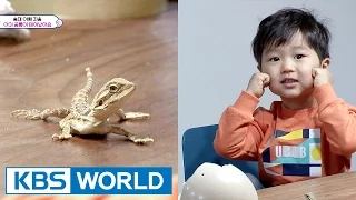 Baby dinosaur comes to Seungjae's house? [The Return of Superman / 2017.04.02]