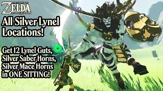 How To Get Lynel Guts & Silver Horns - 12 In One Sitting! All Silver Lynel Locations - Zelda TOTK