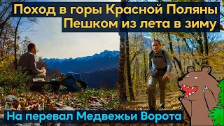 Поход в горы Красной Поляны. Поднимаюсь пешком на перевал Медвежьи Ворота в обход канатных дорог.