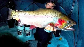 INSANE HUGE TROUT SIGHT FISHING FROZEN EPIC HIDDEN DANGEROUS CLEAR MYSTERY LAKE STRANDED CHALLENGE?!