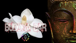 Buddha Bar 2020, Lounge, Chillout & Relax Music - Buddha Bar Chillout - The Best - Vol 50