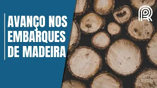 Exportação de madeira do Brasil vai de 10 mil a quase 1 milhão de toneladas em 10 anos