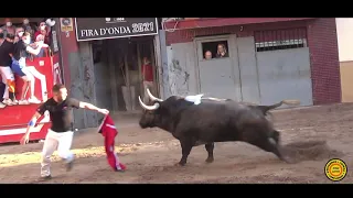 Onda 23-10-21 - Suelta de 4 toros