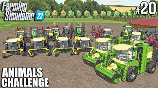 MULTY-MILLION Hay Grass OPERATION | ANIMALS Challenge | FARMING SIMULATOR 22