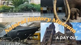 Natural History Museum - London #museum #naturalhistorymuseum #london #nature #history