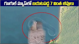 7 Mysterious Deep Sea Creatures Spotted On Google Earth | BS Facts