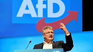 German far-right AfD party elects new leader backed by radical wing