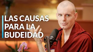 Carta a un Amigo | Lama Rinchen Gyaltsen: "La Iluminación y sus causas" [Lección 11]