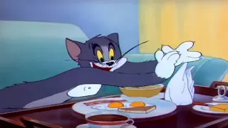 Tom and Jerry episode 14 The Million Dollar cat part 3
