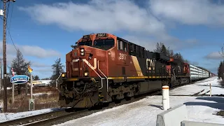 HAULIN GOOD/HEAVY! CN Older ES44AC 2807 Leads A Quick CN L507 At Painsec Junction!