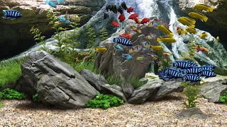 Dream Aquarium - Mixed #7 (4K)