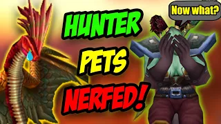 SoD Class Tuning! Hunter Pets Nerfed AGAIN, MM Buffed & Priest Nerfs!