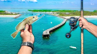 Florida Pier Fishing for Summertime Monsters