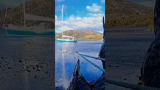 Look at those PUFFS #wilderness #patagonia  #sailing