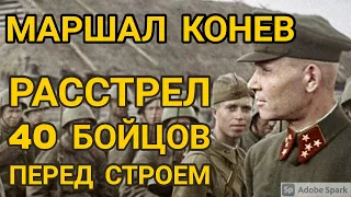 За что маршал Иван Конев в 1945-м в один день расстрелял 40 бойцов Красной армии