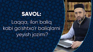 Laqqa, ilon baliq kabi go'shtxo'r baliqlarni yeyish jozimi?