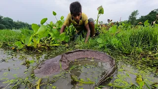 Omg! Amazing Hand Fishing Video2022  Traditional Boy Catching Monster Fish In River Side