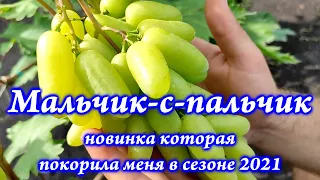 Мальчик-с-пальчик  новинка которая покорила меня в сезоне 2021