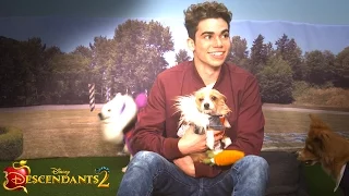 Cameron Boyce Plays with Puppies! | Dogscendants 🐶| Descendants 2