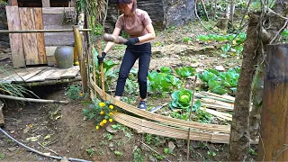 Making a garden fence with bamboo, preparing to grow more vegetables - daily life