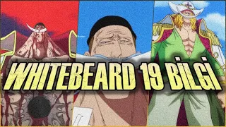 Whitebeard Hakkinda 19 Bilgi