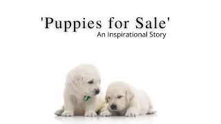 Puppies for Sale -  (An Inspirational Story)