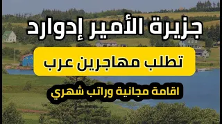 جزيرة الأمير إدوارد الكندية 🇨🇦 تطلب مهاجرين عرب بشكل عاجل | شرح التقديم خطوة بخطوة 🔴