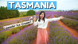 TASMANIA Road Trip TRAVEL GUIDE l Discover BEAUTIFUL East Coast Tasmania Australia